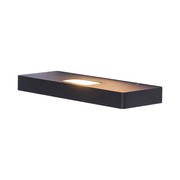 Nocturnal Glider Small Wall Light gallery detail image