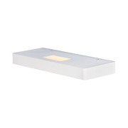 Nocturnal Glider Small Wall Light gallery detail image