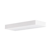 Nocturnal Glider Small Wall Light gallery detail image