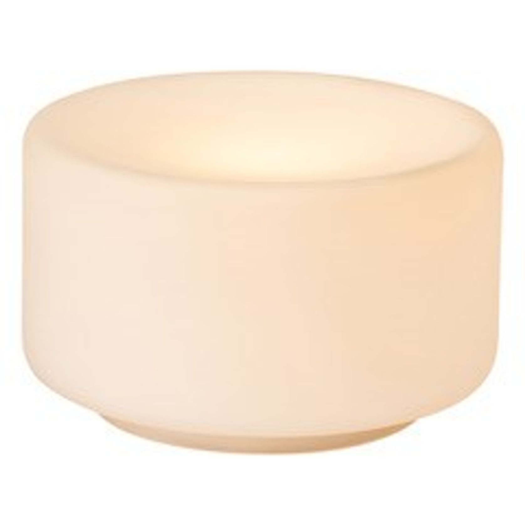 Nocturnal Corella Wall Light gallery detail image