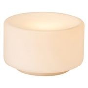Nocturnal Corella Wall Light gallery detail image