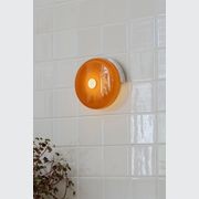 Trip Wall Light gallery detail image