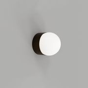 Orb Sur Mini Wall Light gallery detail image