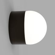 Orb Sur Wall Light gallery detail image
