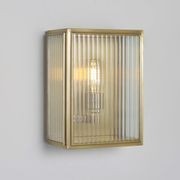 Birch Wall Light gallery detail image