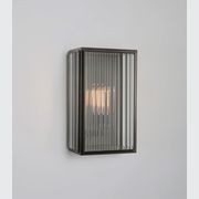 Birch Wall Light gallery detail image