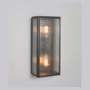 Birch Wall Light gallery detail image
