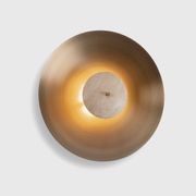 Luna Wall Light gallery detail image