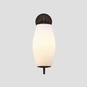 Nova Wall Light gallery detail image