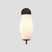 Nova Wall Light gallery detail image