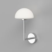 Dome Long Arm Wall Light gallery detail image