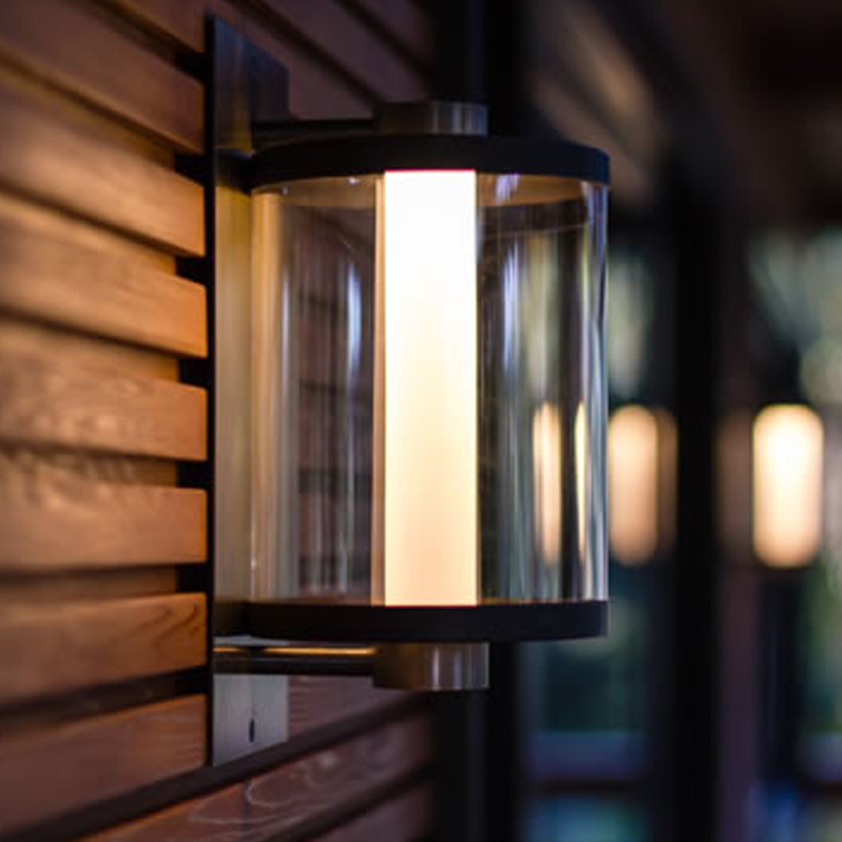 Nocturnal Badger Wall Light gallery detail image