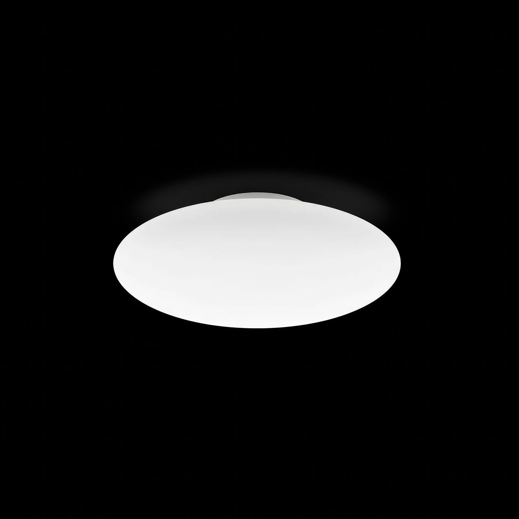 Squash Ceiling / Wall Light gallery detail image