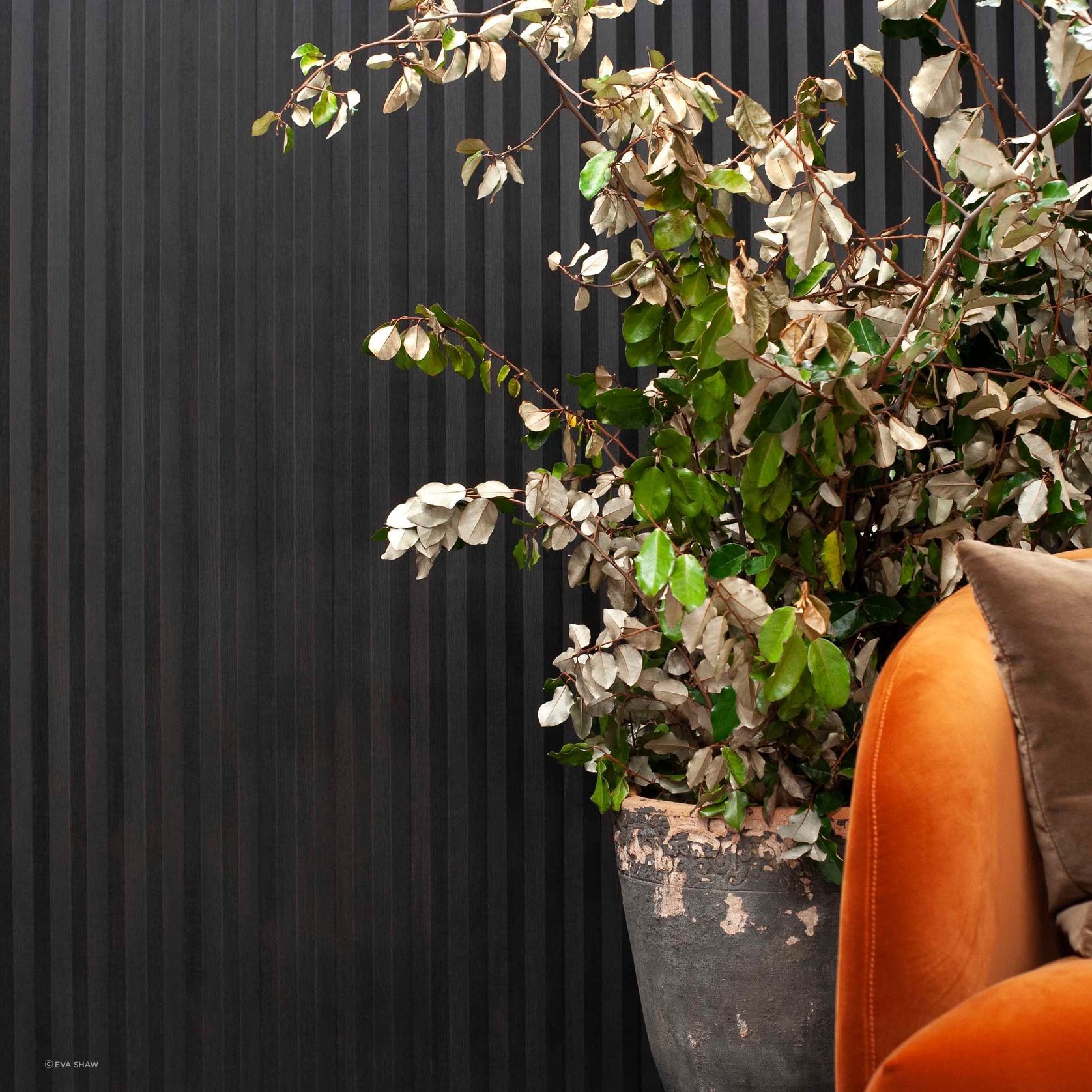 MODULO® Group 3 | Ridge gallery detail image