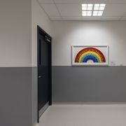 Altro Fortis Titanium 15™ Wall Protection gallery detail image