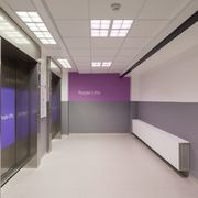 Altro Fortis Titanium 15™ Wall Protection gallery detail image