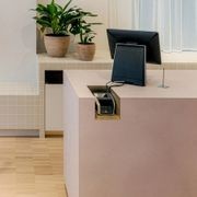 Blush Lime | ALT™ DesignForm gallery detail image
