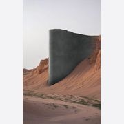 Charcoal Lime | ALT™ DesignForm gallery detail image