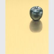 Series 800 804 Satin Solid Brass | Real Metal Laminates gallery detail image