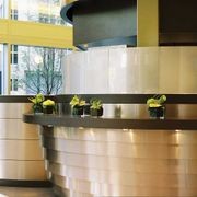 Series 800 812 Satin Smoked Chrome | Real Metal Laminates gallery detail image