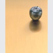 Series 800 814 Satin Golden Bronze | Real Metal Laminates gallery detail image