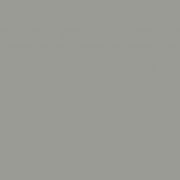 Altro Fortis Titanium 15™ Wall Protection gallery detail image