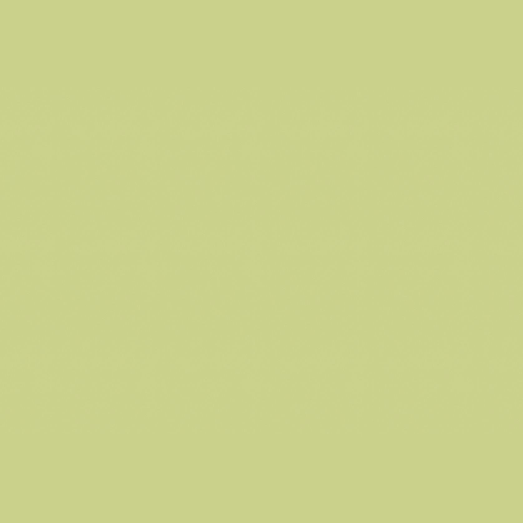 Altro Whiterock Satins™ Hygienic Wall Lining gallery detail image