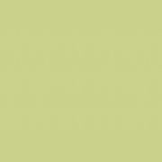 Altro Whiterock Hygienic Doorsets™ gallery detail image