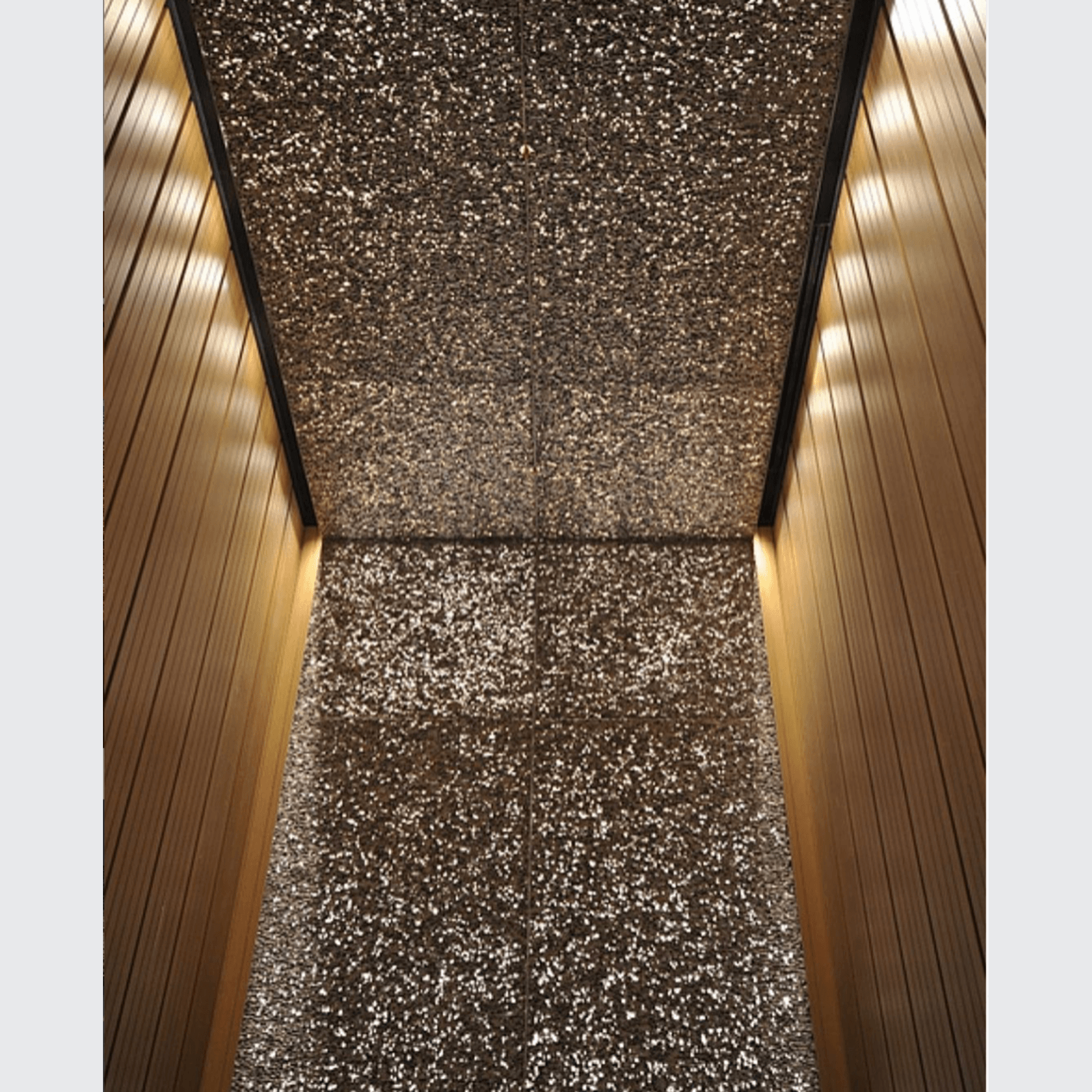 ALUSION™ Large Cell gallery detail image