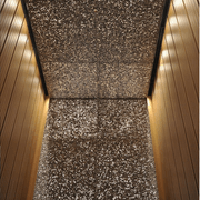 ALUSION™ Large Cell gallery detail image