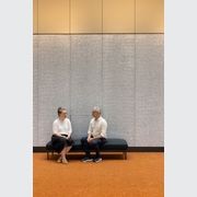 ALUSION™ Small Cell gallery detail image