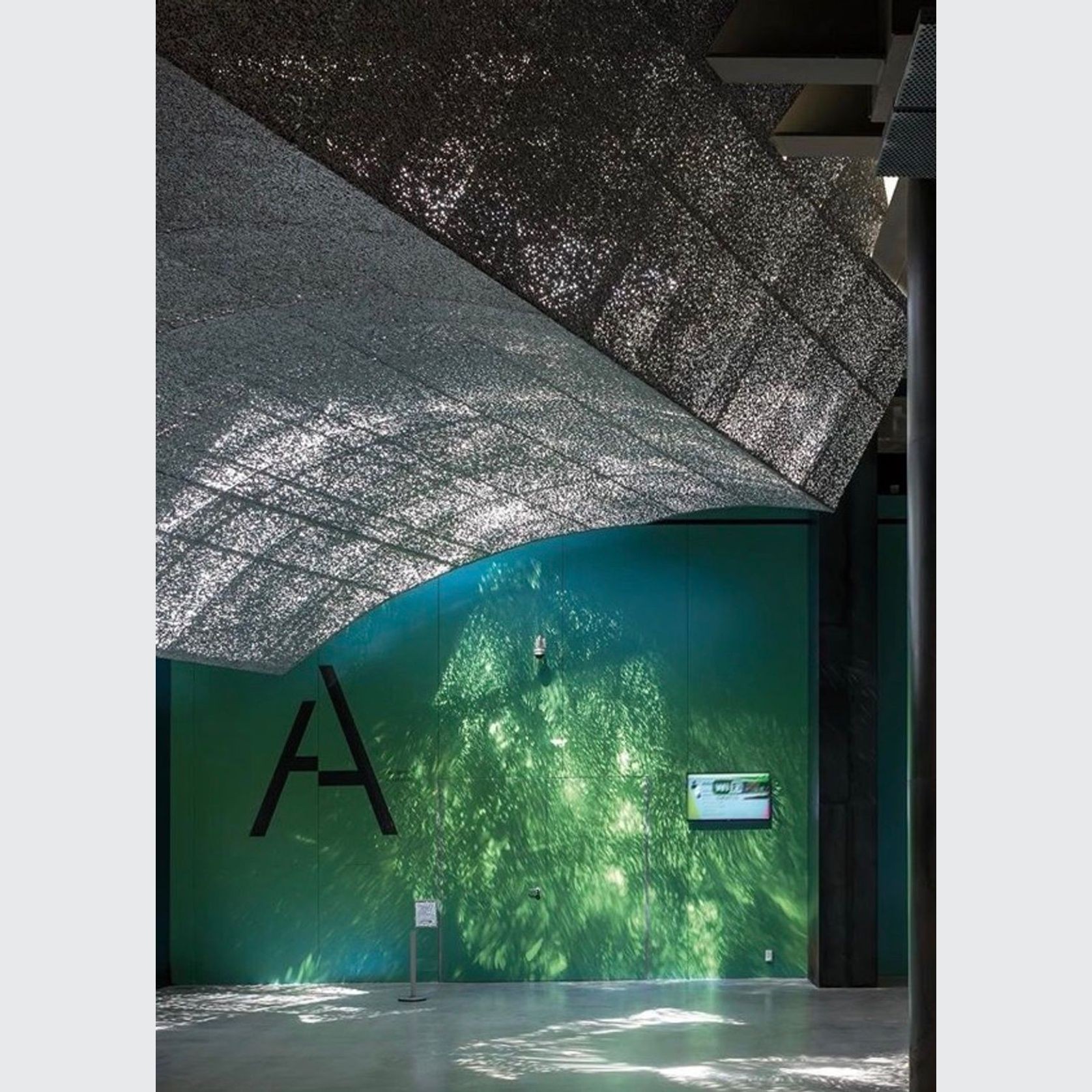 ALUSION™ Large Cell gallery detail image