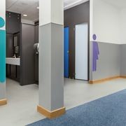 Altro Fortis Titanium 15™ Wall Protection gallery detail image