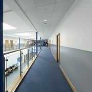 Altro Fortis Titanium 15™ Wall Protection gallery detail image