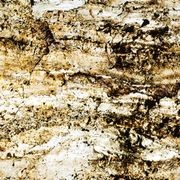 Amber Terrain Natural Thin Stone Veneers gallery detail image
