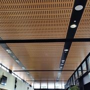 Hush Panel Wall & Ceiling Linings gallery detail image