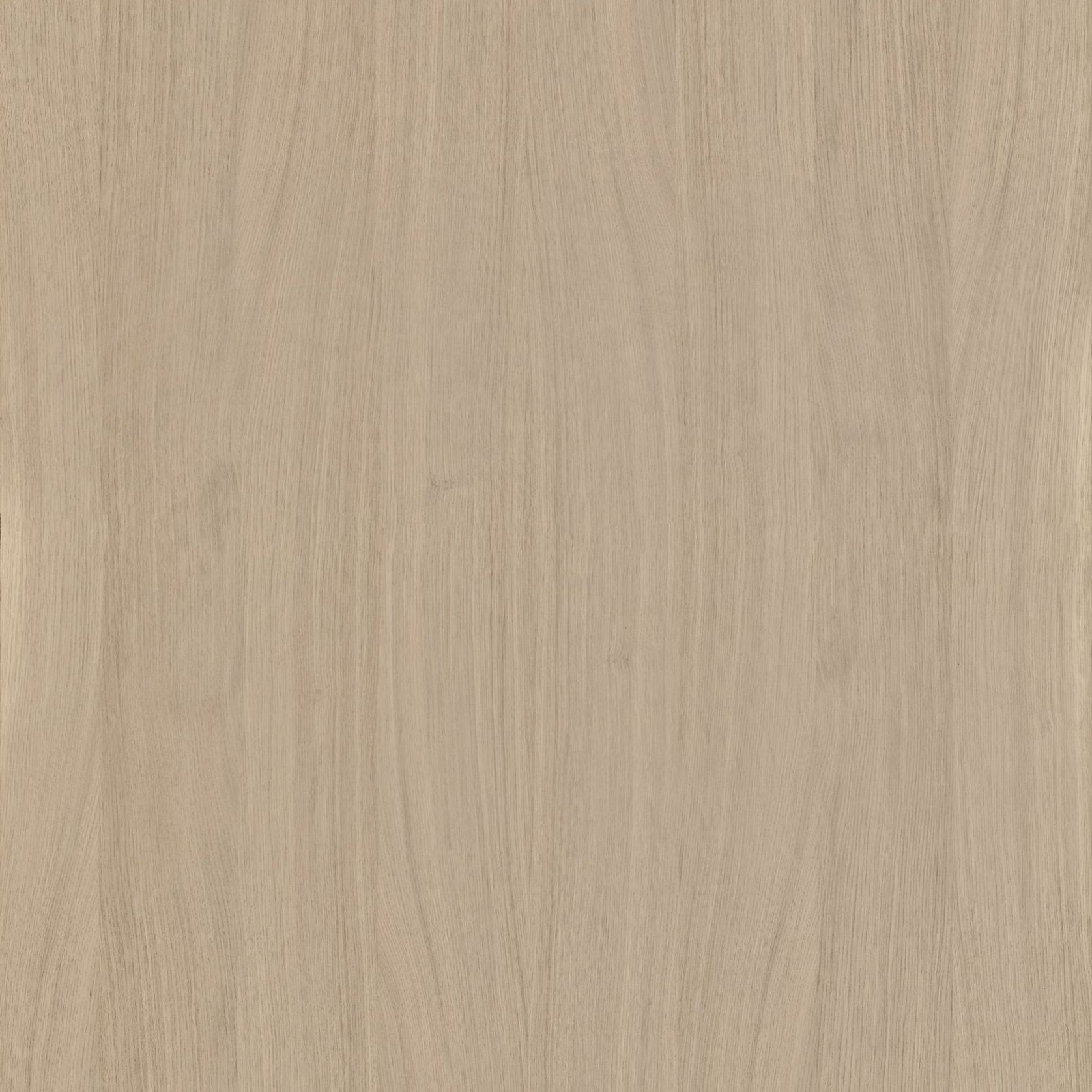 Alor Cove Oak 1F1B 3050mm Veneer Panel gallery detail image