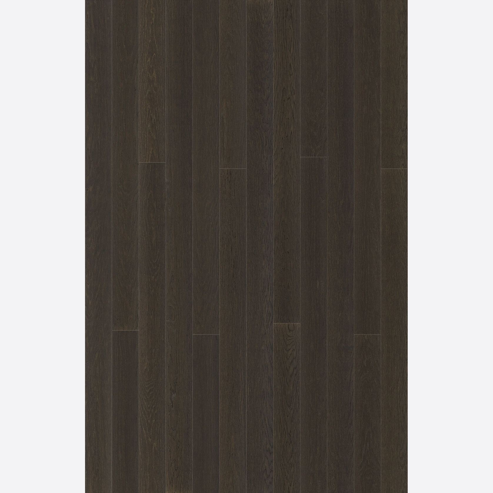Alor Nox Oak Walls & Ceiling Panelling gallery detail image