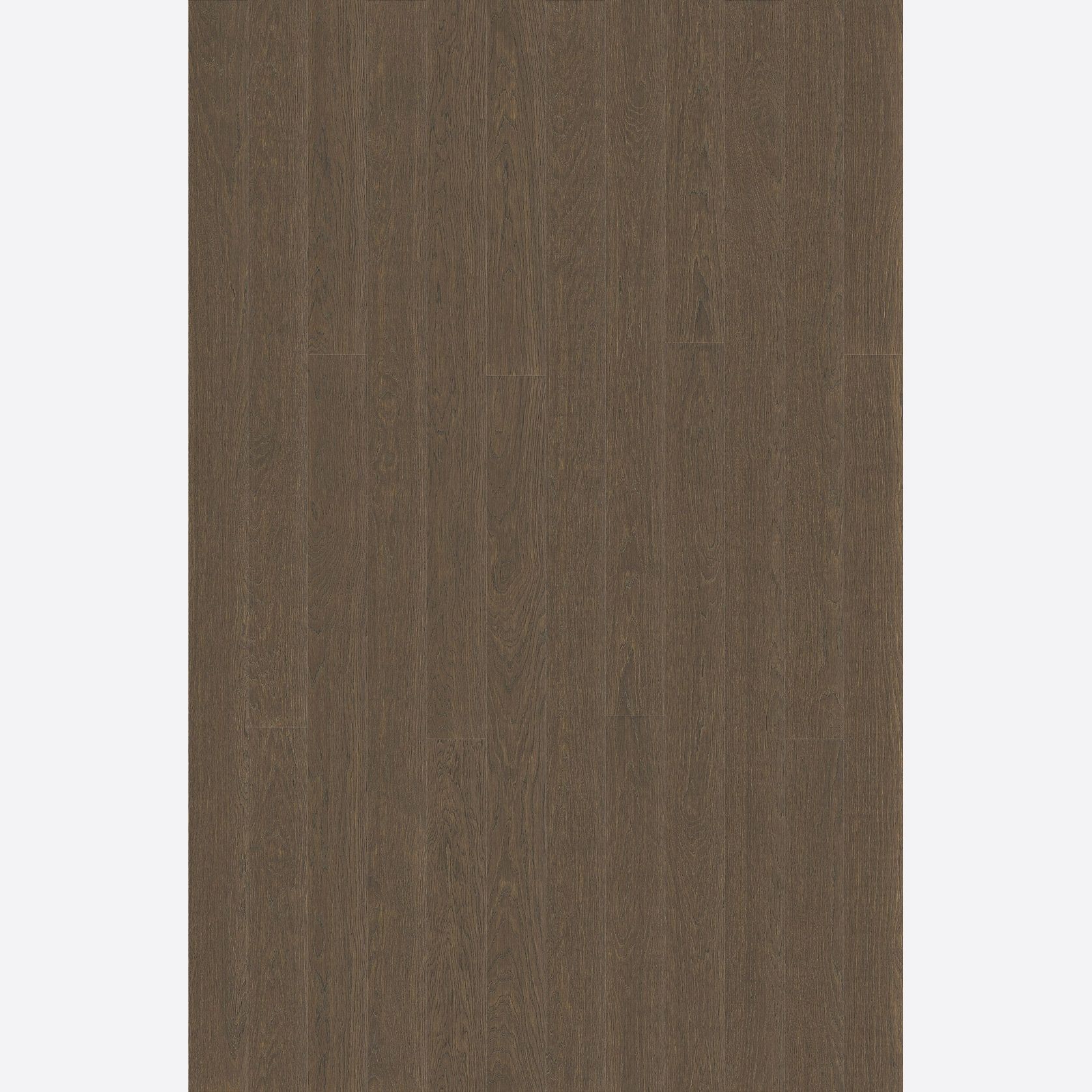Alor Ochre Oak Walls & Ceiling Panelling gallery detail image
