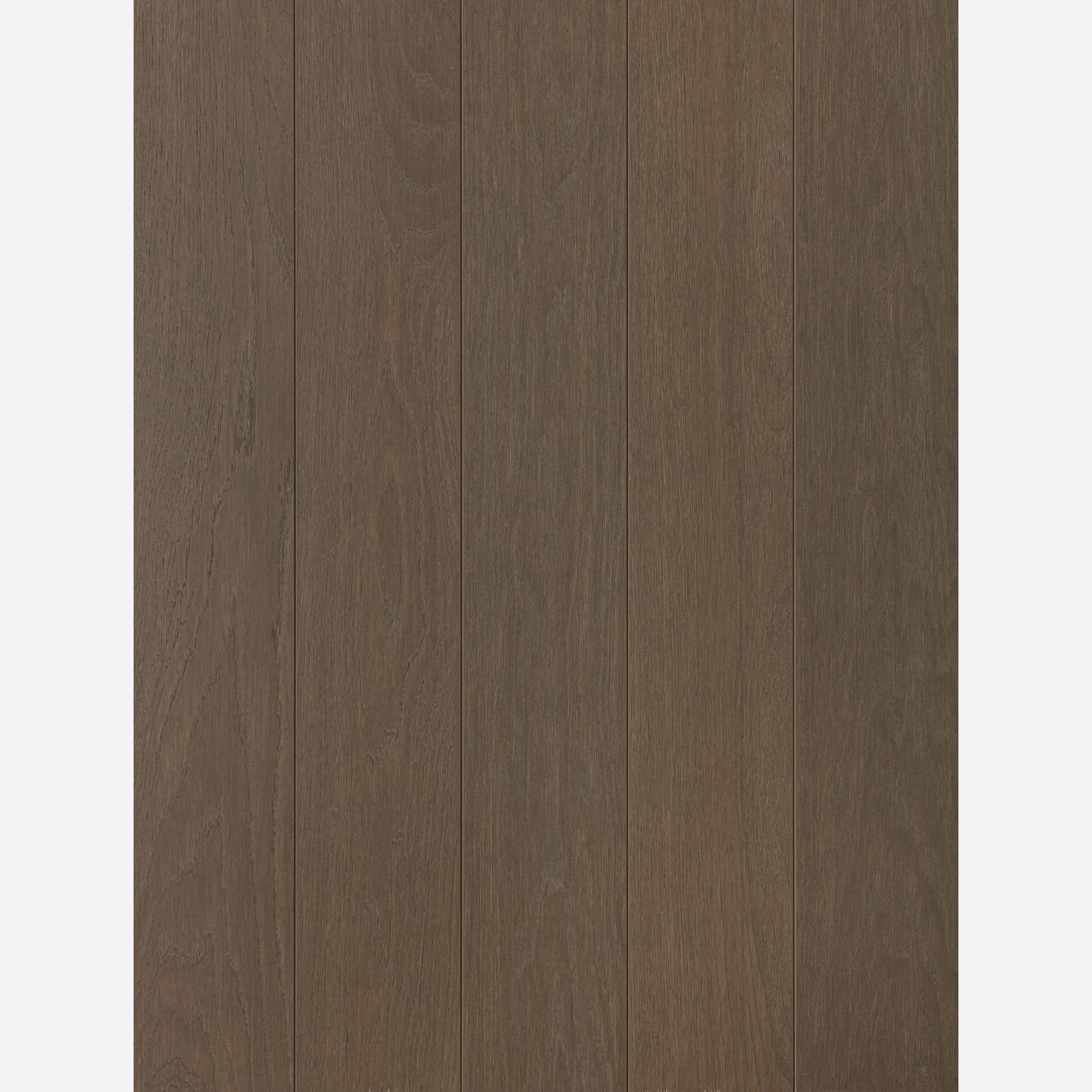 Alor Ochre Oak Walls & Ceiling Panelling gallery detail image