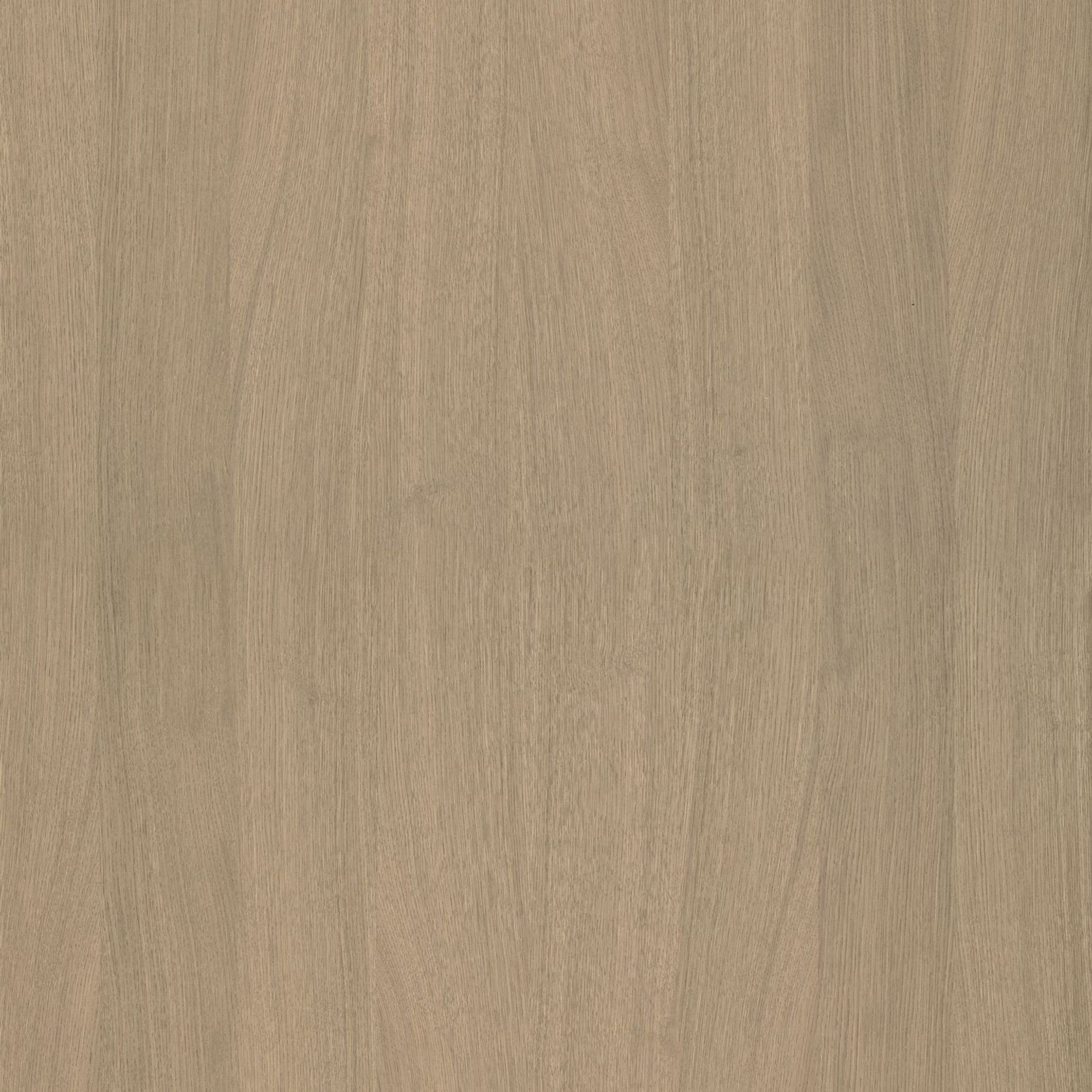 Alor Solis Oak 1F1B 3050mm Veneer Panel gallery detail image