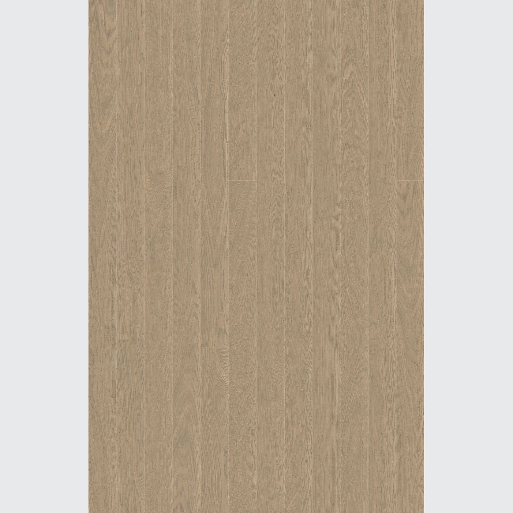 Alor Solis Oak Walls & Ceiling Panelling gallery detail image