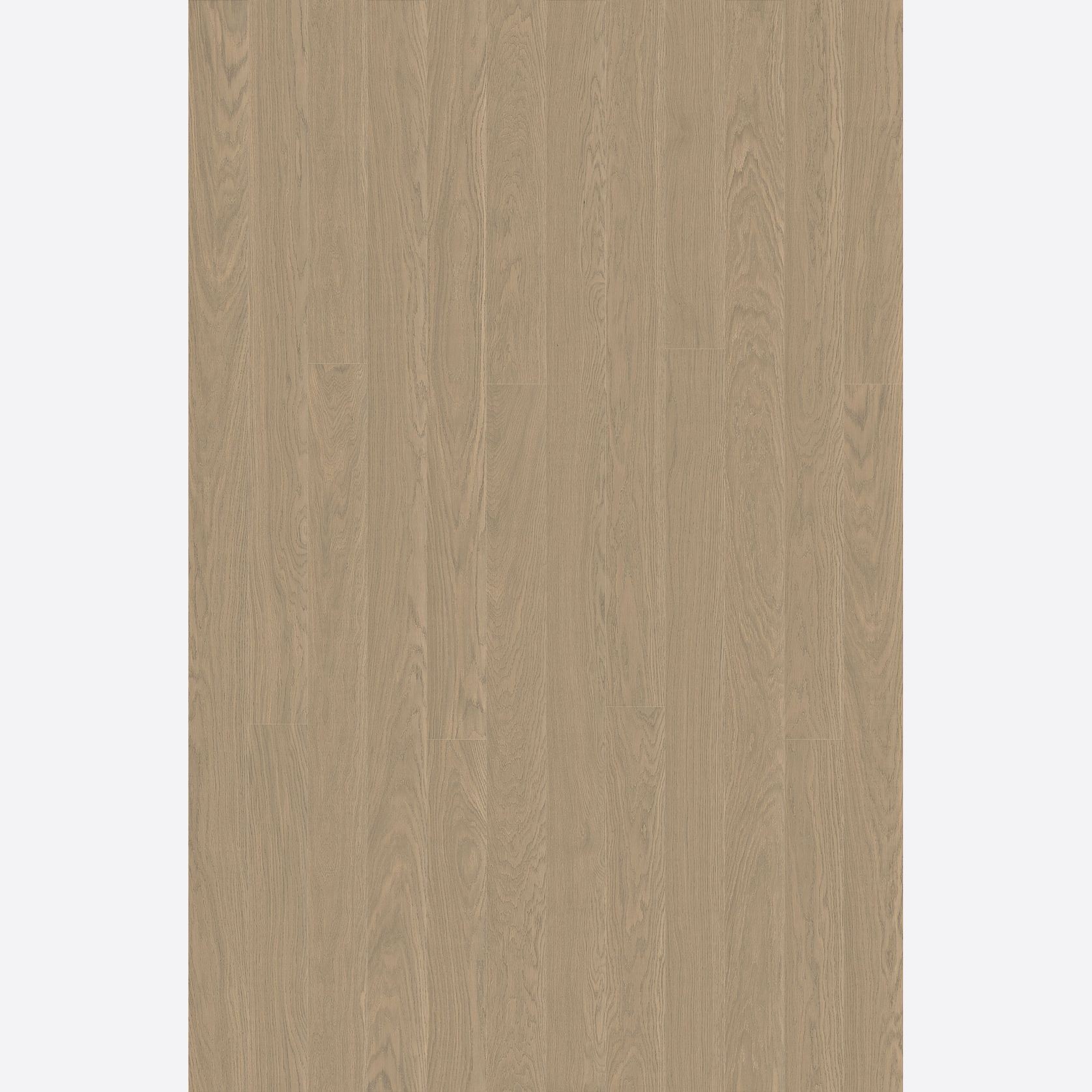 Alor Solis Oak Walls & Ceiling Panelling gallery detail image