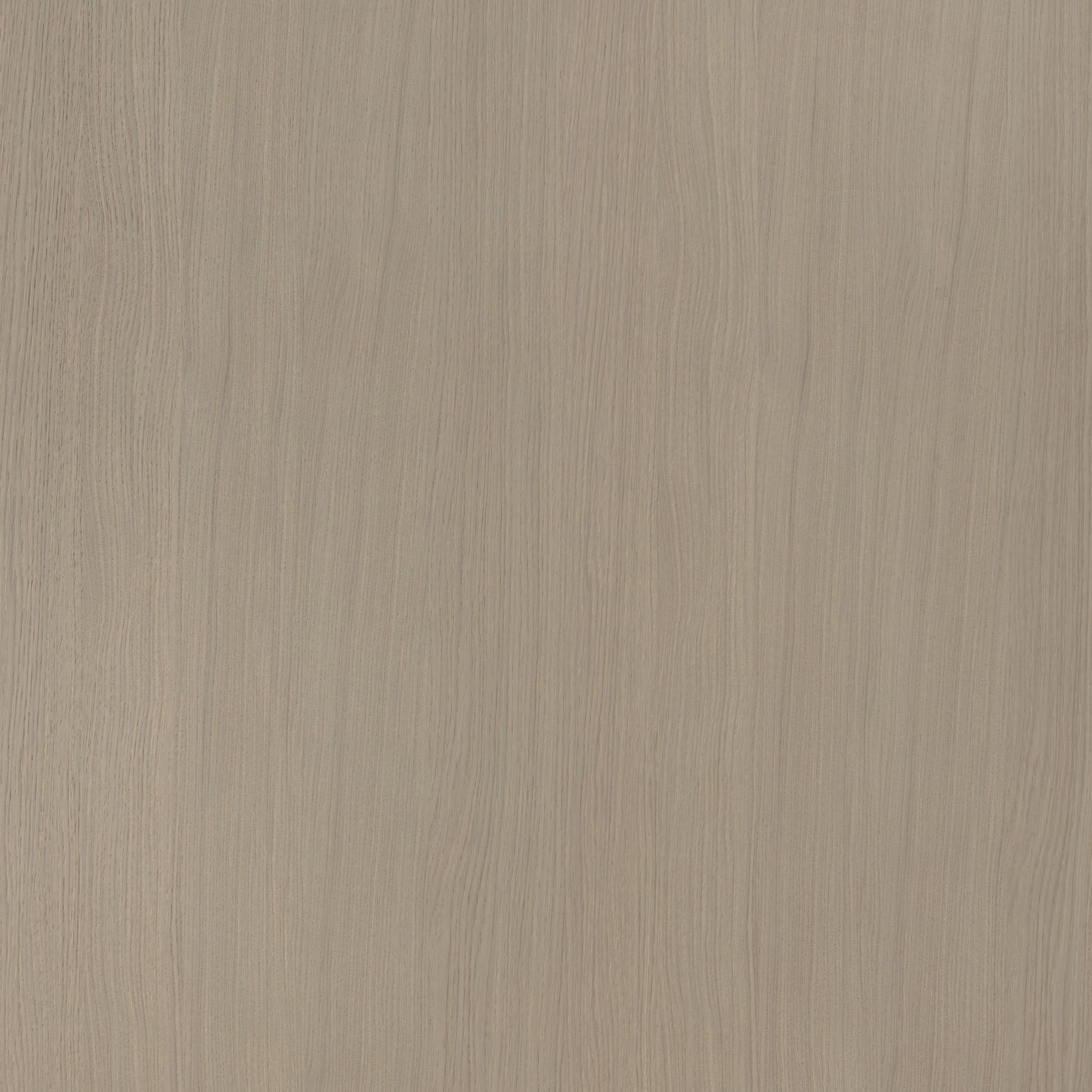 Alor Tusk Oak 1F1B 3050mm Veneer Panel gallery detail image