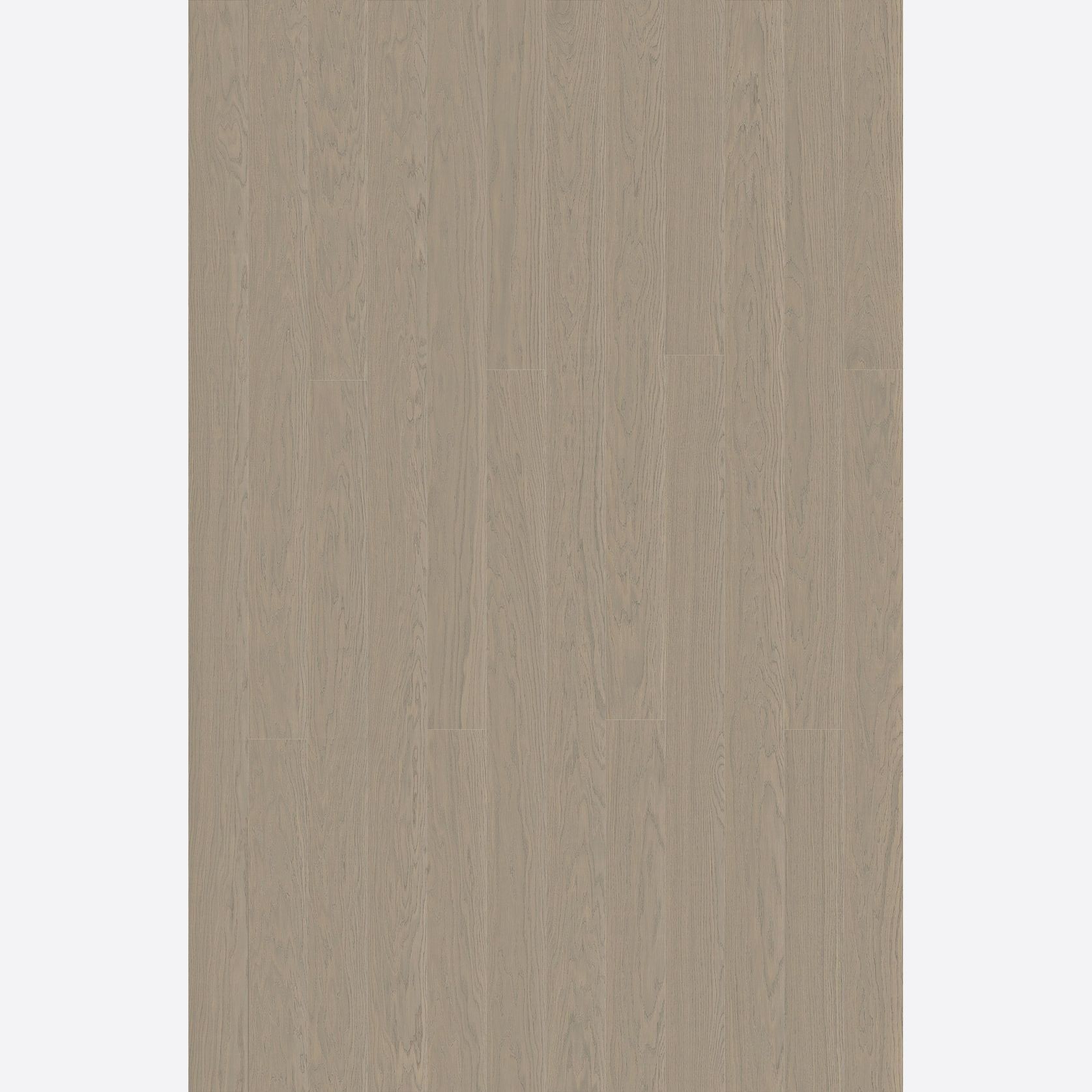 Alor Tusk Oak Walls & Ceiling Panelling gallery detail image