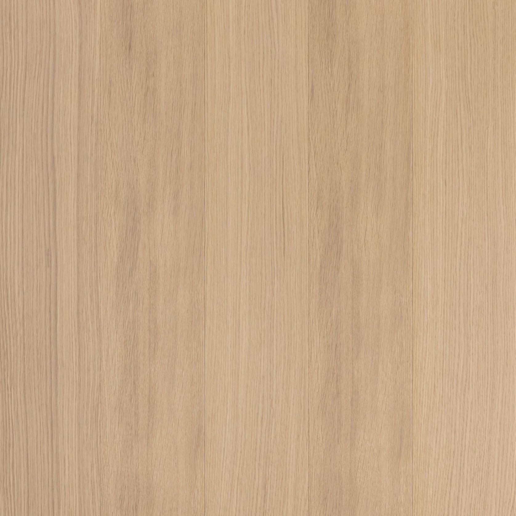 Alor Fawn Oak Walls and Ceiling Panelling gallery detail image