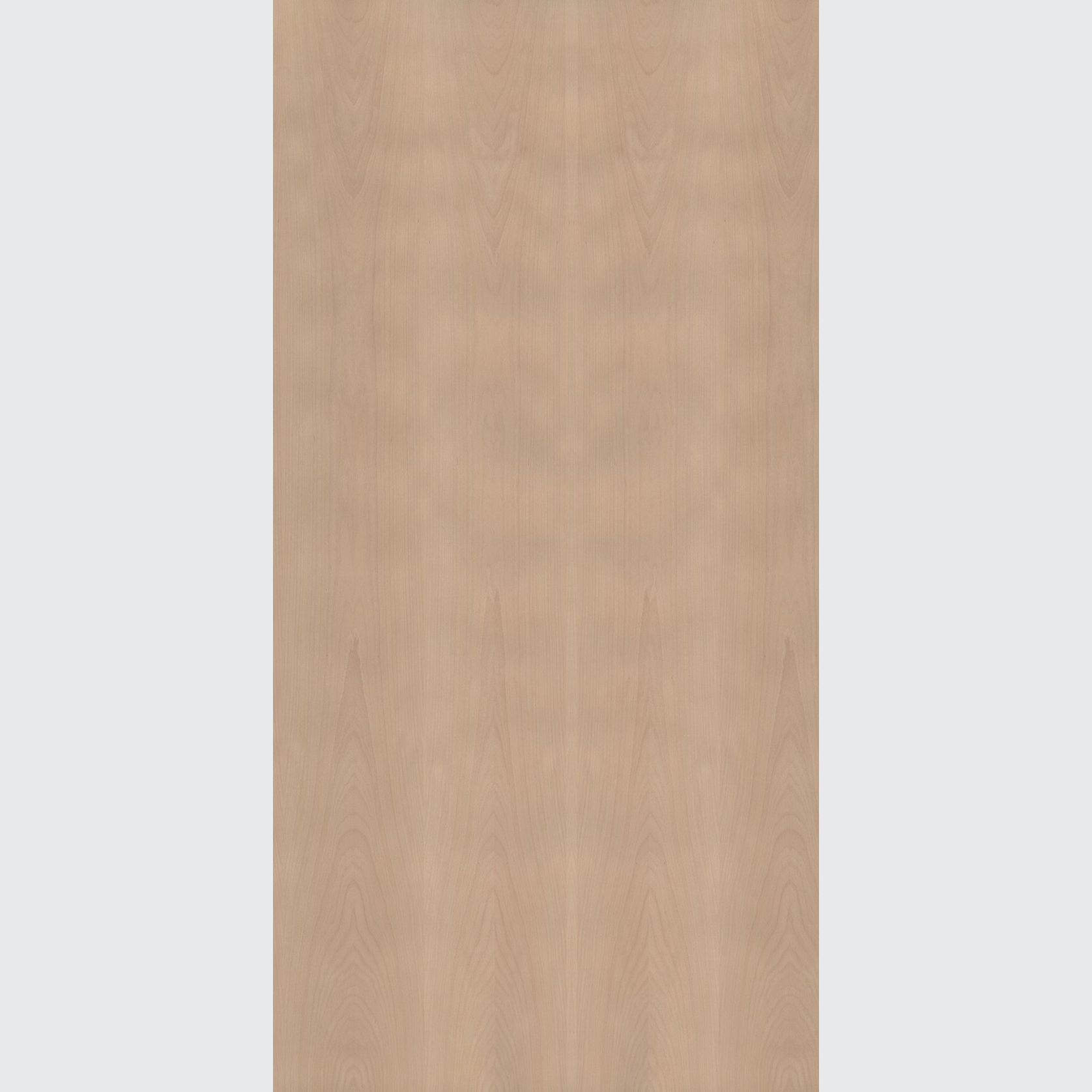 i:zi|wood Beech | Grimmel Veneer gallery detail image