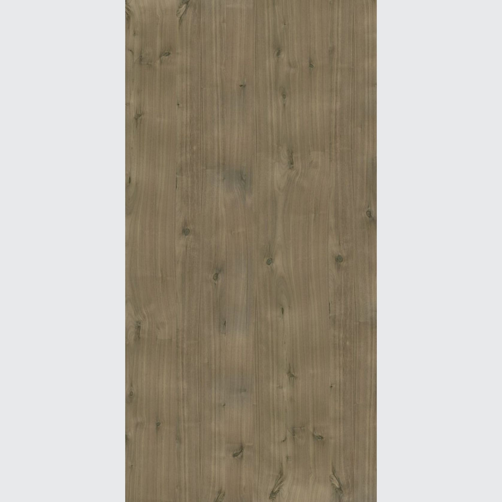 i:zi|wood Walnut, American Knotty | Grimmel Veneer gallery detail image