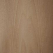 i:zi|wood Beech | Grimmel Veneer gallery detail image