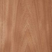 i:zi|wood Sapele | Grimmel Veneer gallery detail image